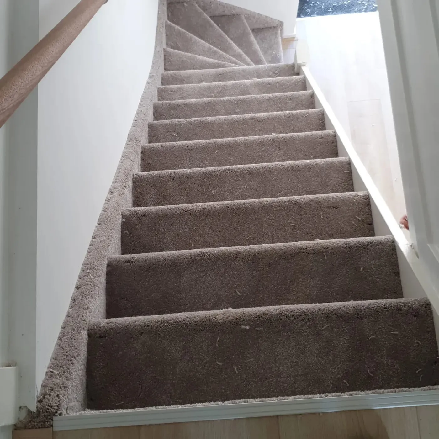 Trap met taupe tapijt en een houten handrail
